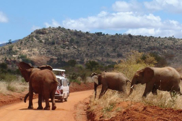 1 Day Tsavo East safari by Road from Mombasa